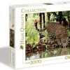 Clementoni Puzzel - High Quality Puzzel Collectie - Luipaard - 2000 Stukjes, Puzzel Volwassenen