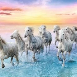 Trefl Paarden In Galop Puzzel - 500 Stukjes