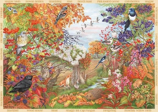Jumbo Falcon Puzzel Autumn Hedgerow - Legpuzzel - 500 Stukjes - Afbeelding 8