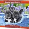 Castorland French Bulldog Puppies - 1000 Stukjes