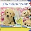 Ravensburger Puzzel Schattige Hondjes - 3x49 Stukjes - Kinderpuzzel