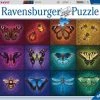 Ravensburger Puzzel Gevleugelde Dieren - Legpuzzel - 1000 Stukjes