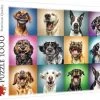 Trefl Grappige Honden Puzzel - 1000 Stukjes