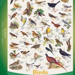 Eurographics Puzzel - Birds (1000)